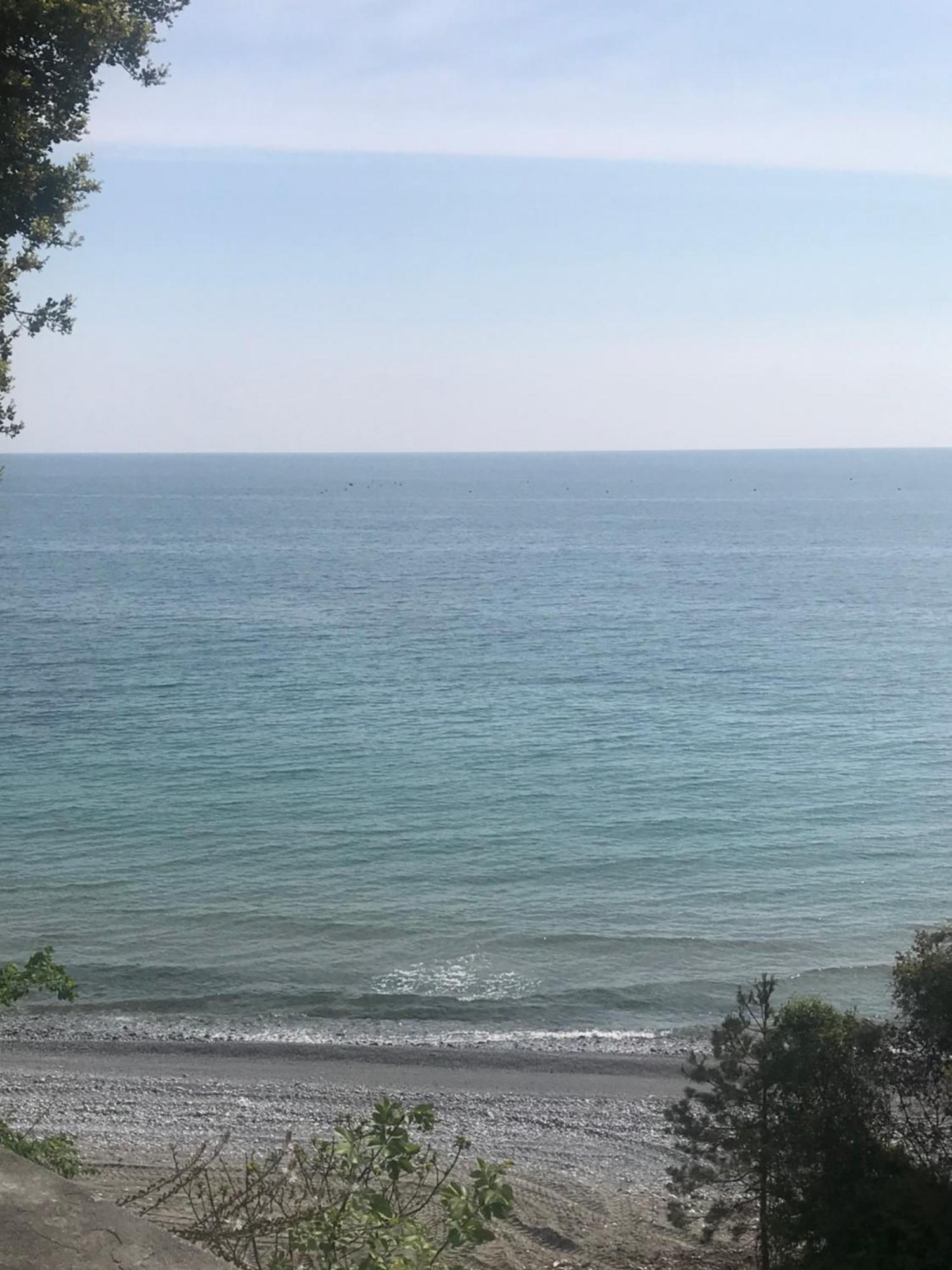 Zeusplace Seaside Home Private Beach And Parking Plaka Litochorou Exterior foto