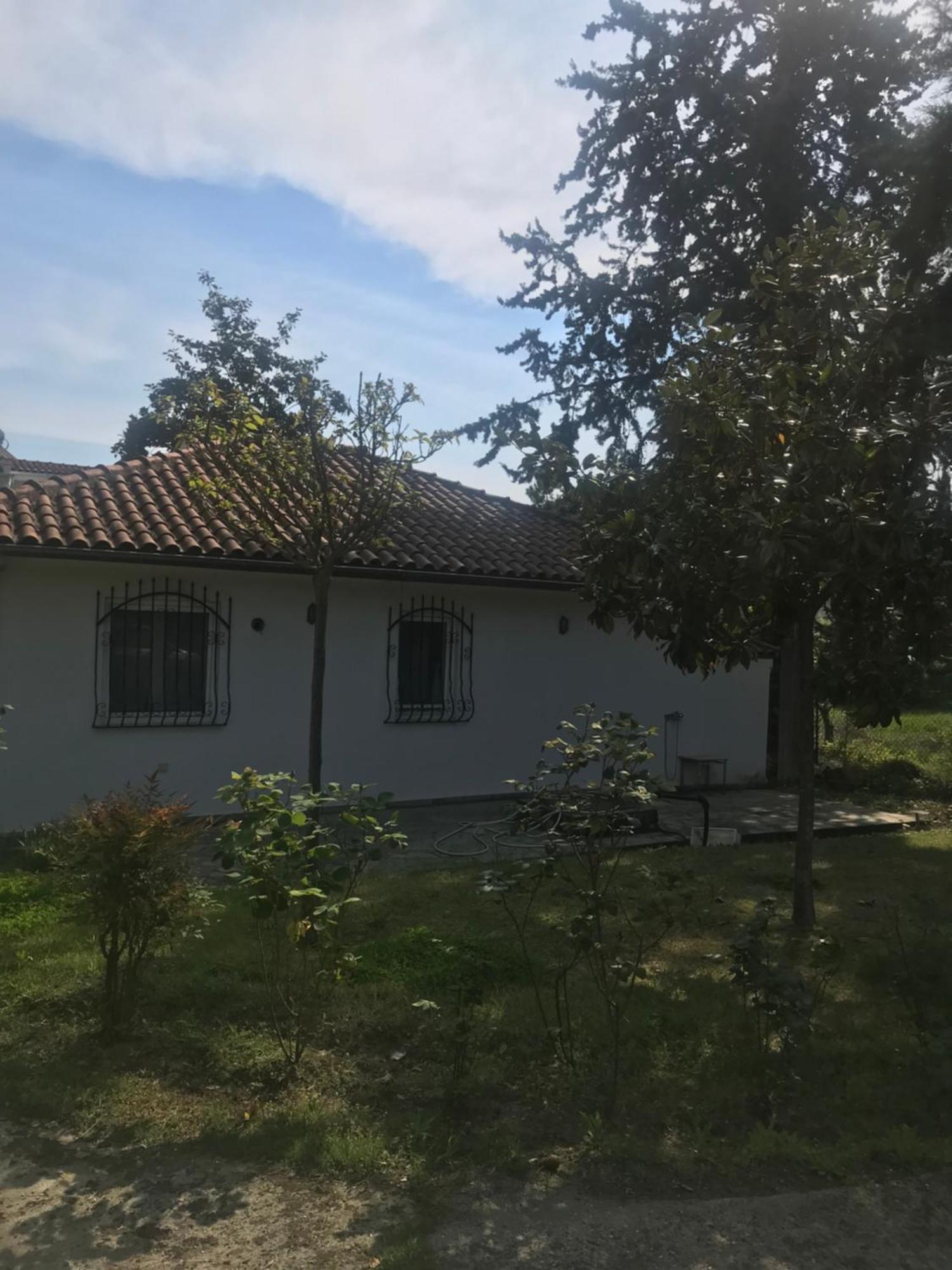 Zeusplace Seaside Home Private Beach And Parking Plaka Litochorou Exterior foto